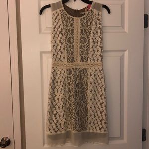 NWT Chelsea and Violet lace/mesh overlay dress XS